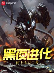 黑夜进化txt下载