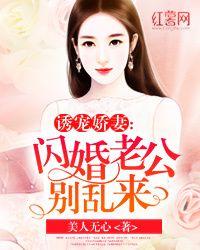 秦风柳红颜txt下载