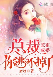 惹霍成婚：总裁，你逃不掉了！txt下载