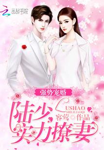 强势宠婚：陆少，实力撩妻txt下载